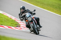 Oulton-Park-21st-March-2020;PJ-Motorsport-Photography-2020;anglesey;brands-hatch;cadwell-park;croft;donington-park;enduro-digital-images;event-digital-images;eventdigitalimages;mallory;no-limits;oulton-park;peter-wileman-photography;racing-digital-images;silverstone;snetterton;trackday-digital-images;trackday-photos;vmcc-banbury-run;welsh-2-day-enduro